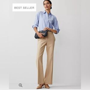 NWT Ann Taylor trousers